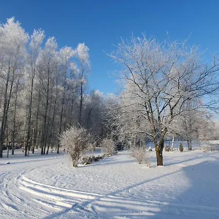 Lesny Dwor - Sniadanie I Parking W Cenie